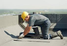 Best Roof Repair  in Mckenzie, TN